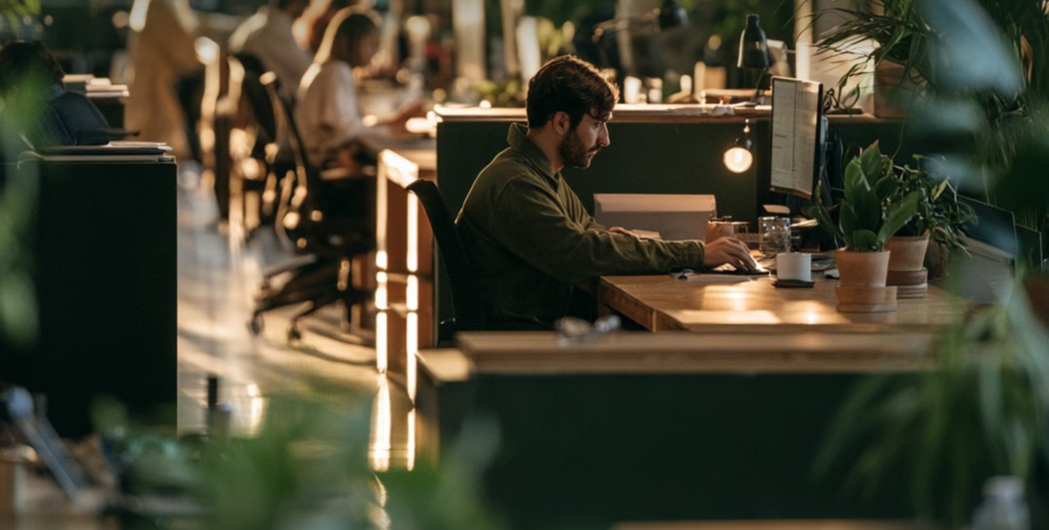 Escritório com pessoa a trabalhar ao computador entre plantas